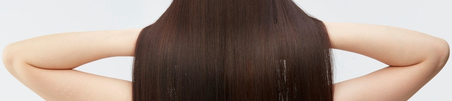 banner-principal