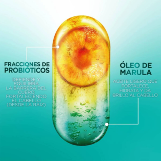 Cuáles son los probióticos