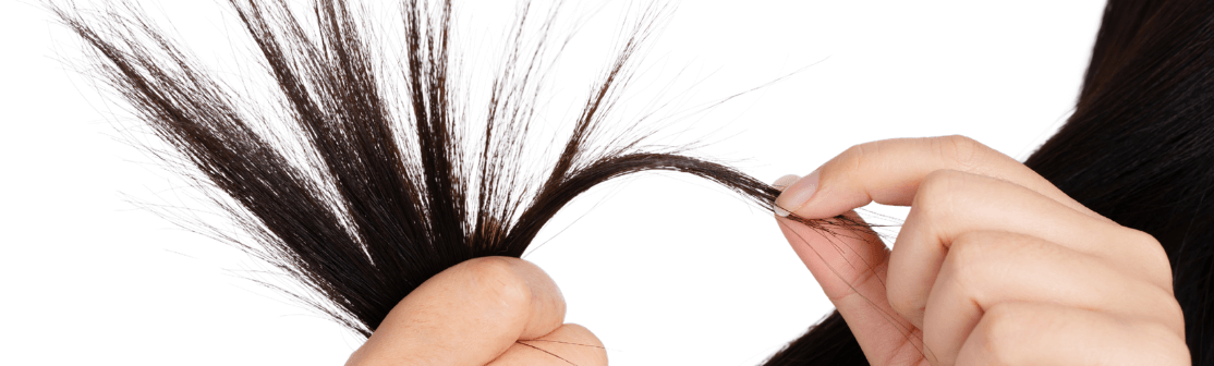 pelo quebradizo