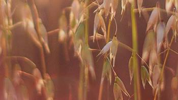 5 Content block video 640 x 360