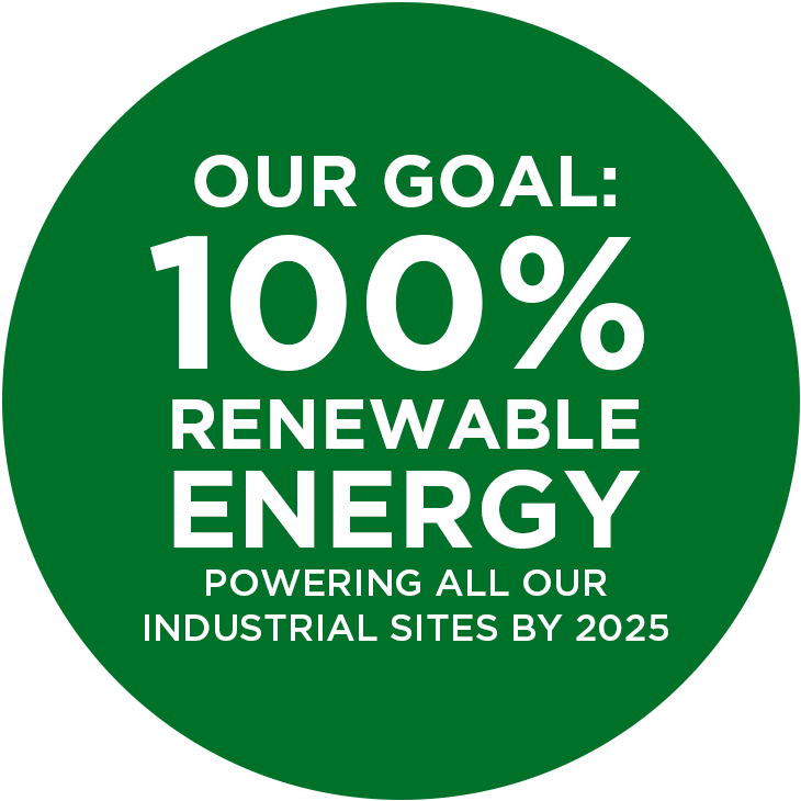 Objetivo de energía renovable
