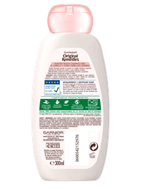 AV CH300 2020 TRASERA