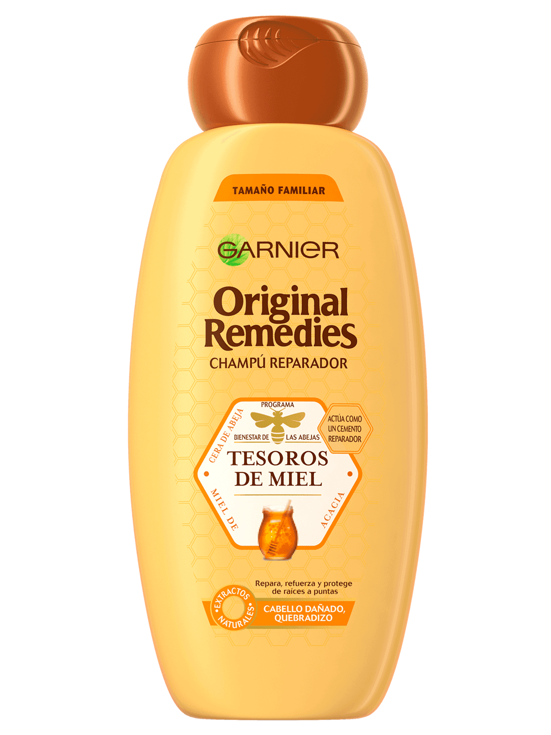Original Remedies Shampoo Tesoros de Miel Garnier Chile