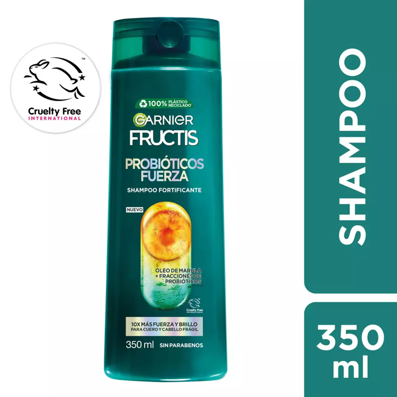 Paso 01