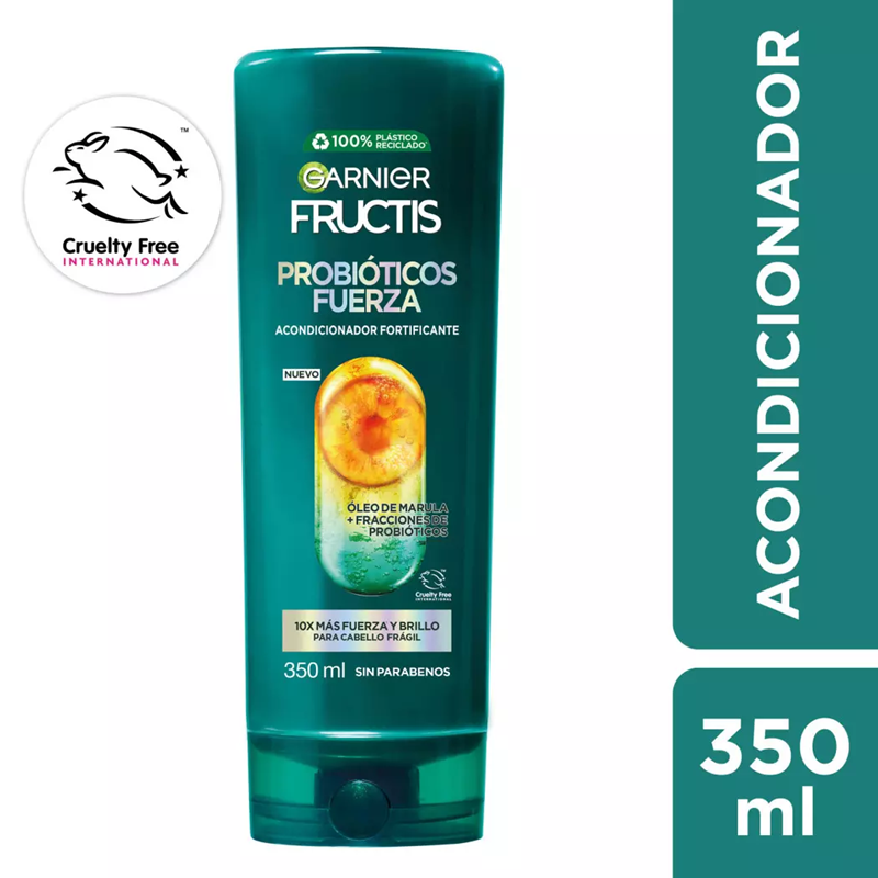 Paso 02